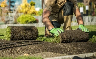 Landscaping and Grounds Maintenance