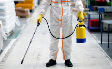 Pest Control and Fumigation Services